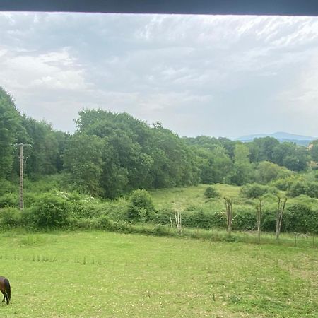 Appartement Dans Belle Maison Basque Mouguerre Exteriér fotografie