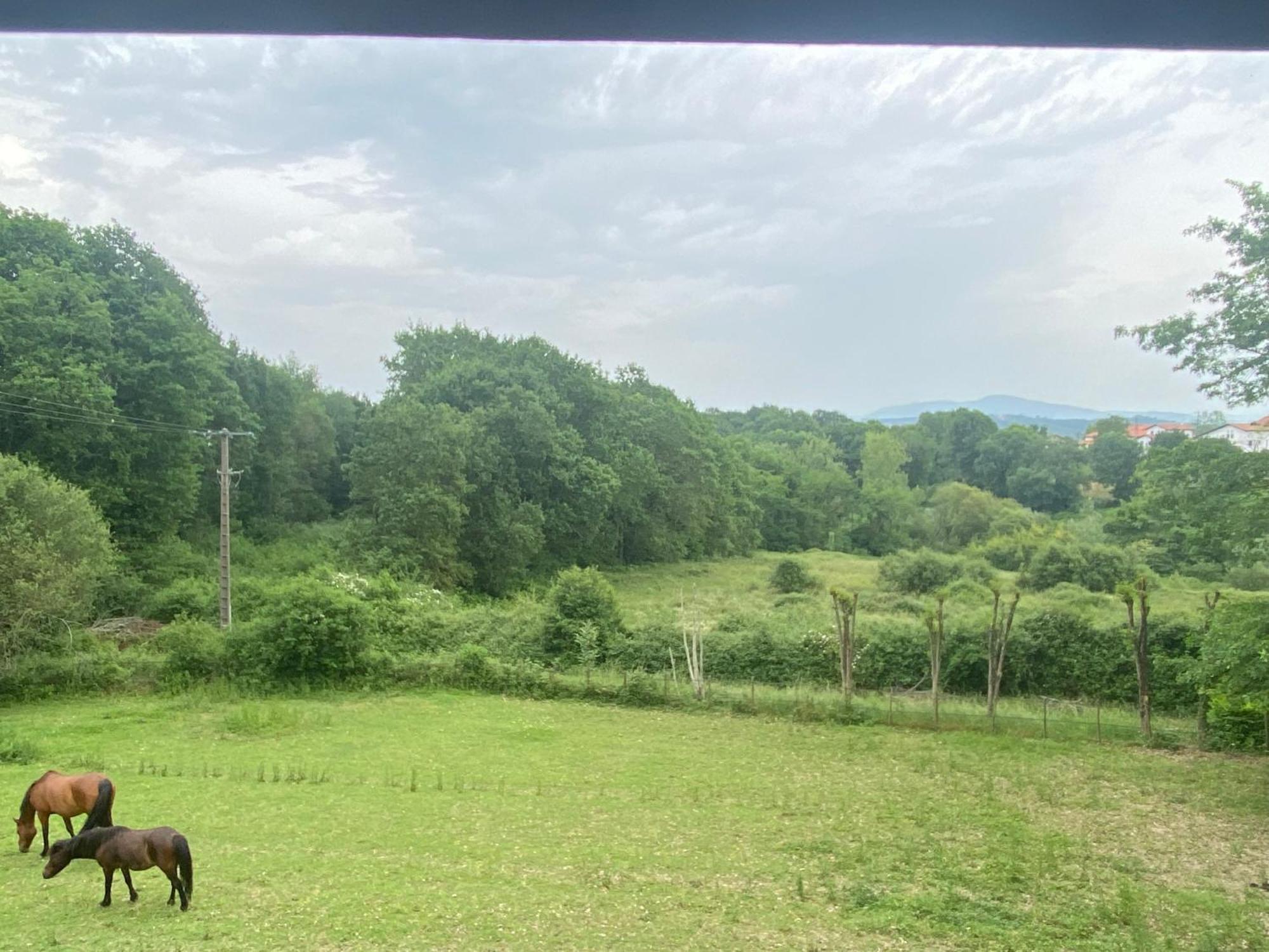 Appartement Dans Belle Maison Basque Mouguerre Exteriér fotografie